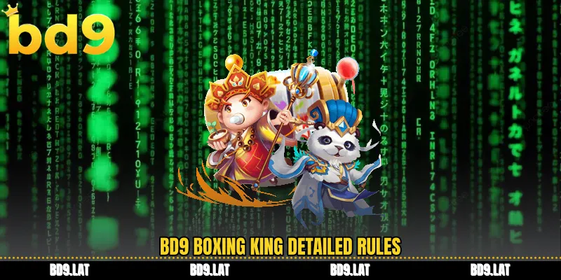 BD9 boxing king detailed rules