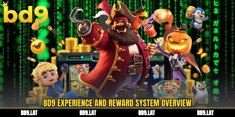 BD9 experience and reward system overview