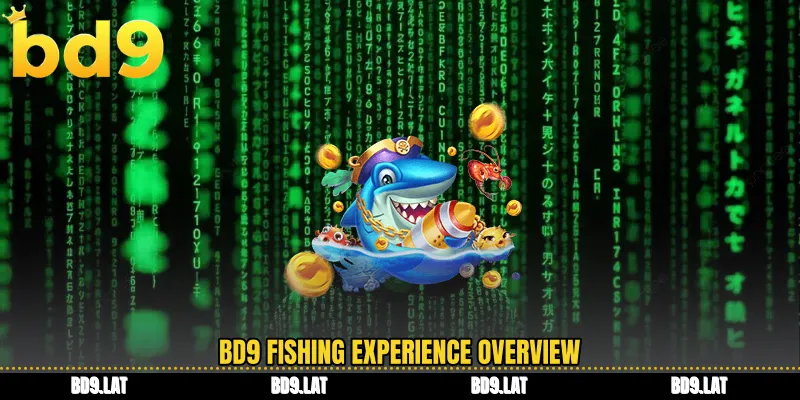 BD9 fishing experience overview