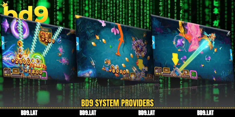 BD9 system providers